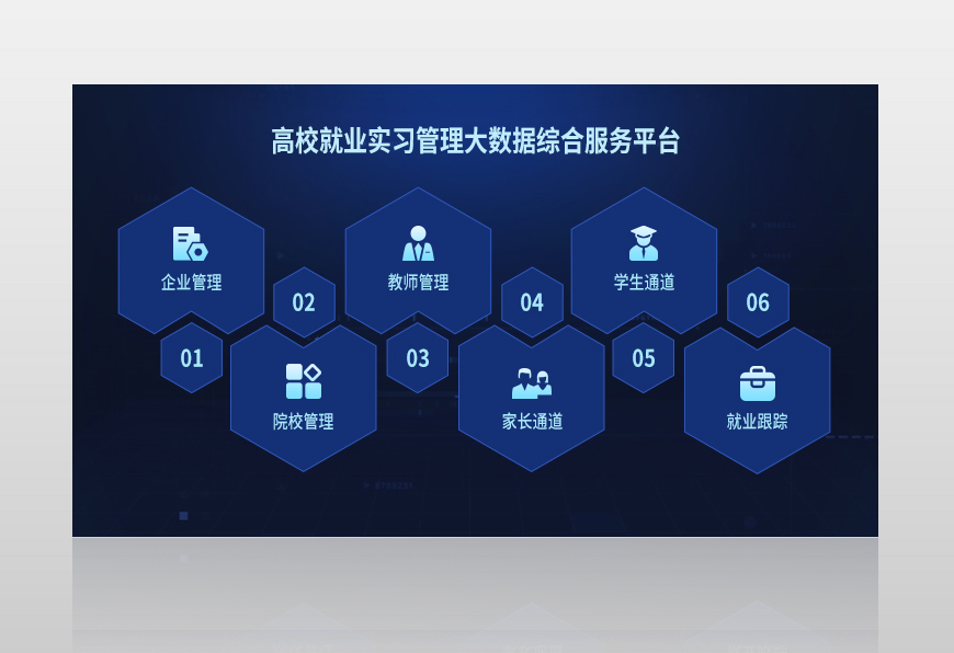睿阳高校实习就业管理大数据综合服务平台